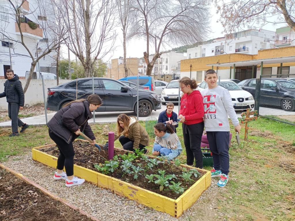 El huerto escolar da sus primeros&nbsp;frutos